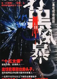 打黑风暴