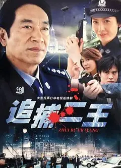 追捕二王
