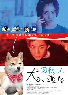 狗转了一圈 逃跑了