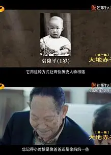 杂交水稻之父袁隆平
