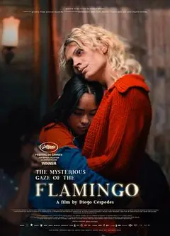 弗拉明戈的神秘眼神