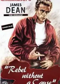 无因的反叛1955