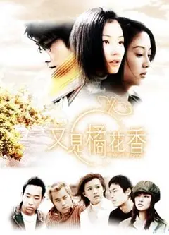 又见橘花香