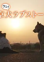 东京犬爱情故事