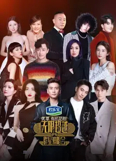 无限超越群星演唱会