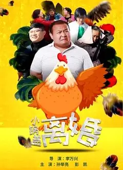 小锅盖离婚