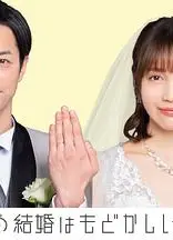 部长和社畜的结婚令人着急 特别篇