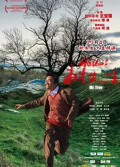Hello！树先生