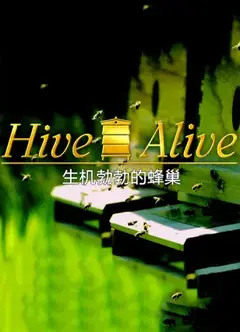 生机勃勃的蜂巢