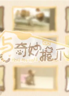 与奇妙握爪