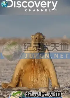 动物绝技大公开