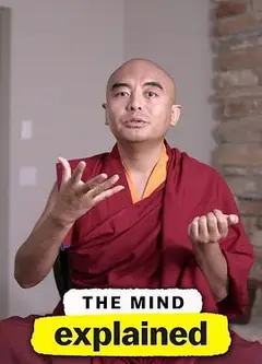 头脑解密第二季